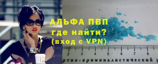 дживик Белокуриха
