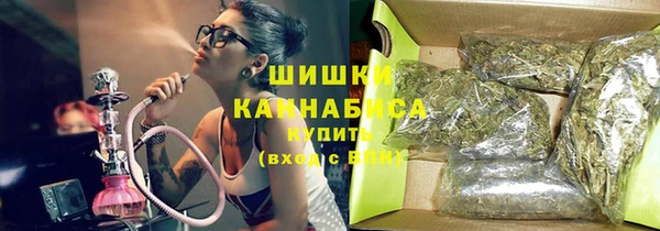дживик Белокуриха