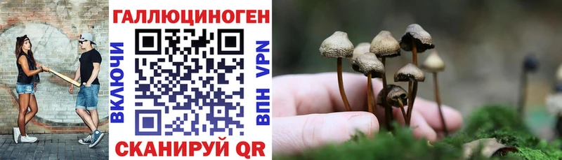 Псилоцибиновые грибы Magic Shrooms  цены наркотик  Малая Вишера 